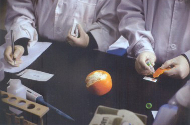 2013年3月28日，北京智云達(dá)科技有限公司食品安全快檢實(shí)驗(yàn)室，技術(shù)員正在檢測(cè)橙子表皮的農(nóng)藥殘留是否超標(biāo)